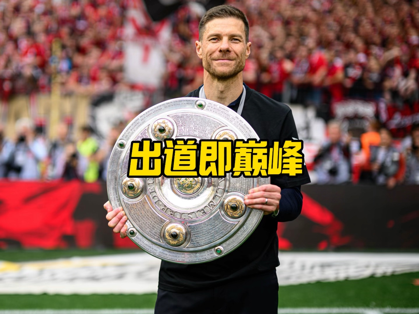 仅依